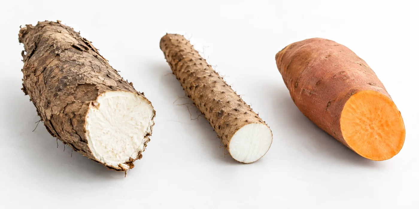 Three distinct unpeeled tubers with cut faces