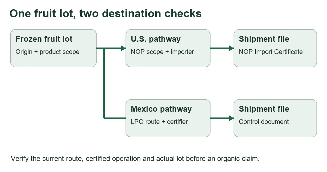 Show branching U.S. and Mexico document checks.