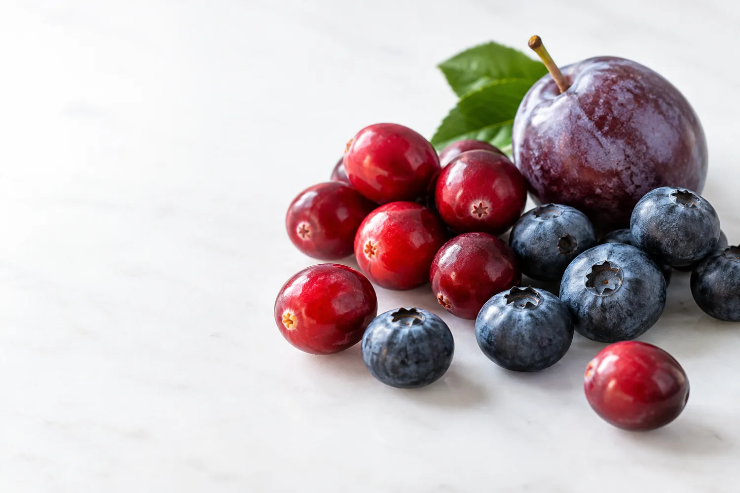 Whole cranberries, blueberries and a small plum have different skin and size conditions; this is an editorial illustration.
