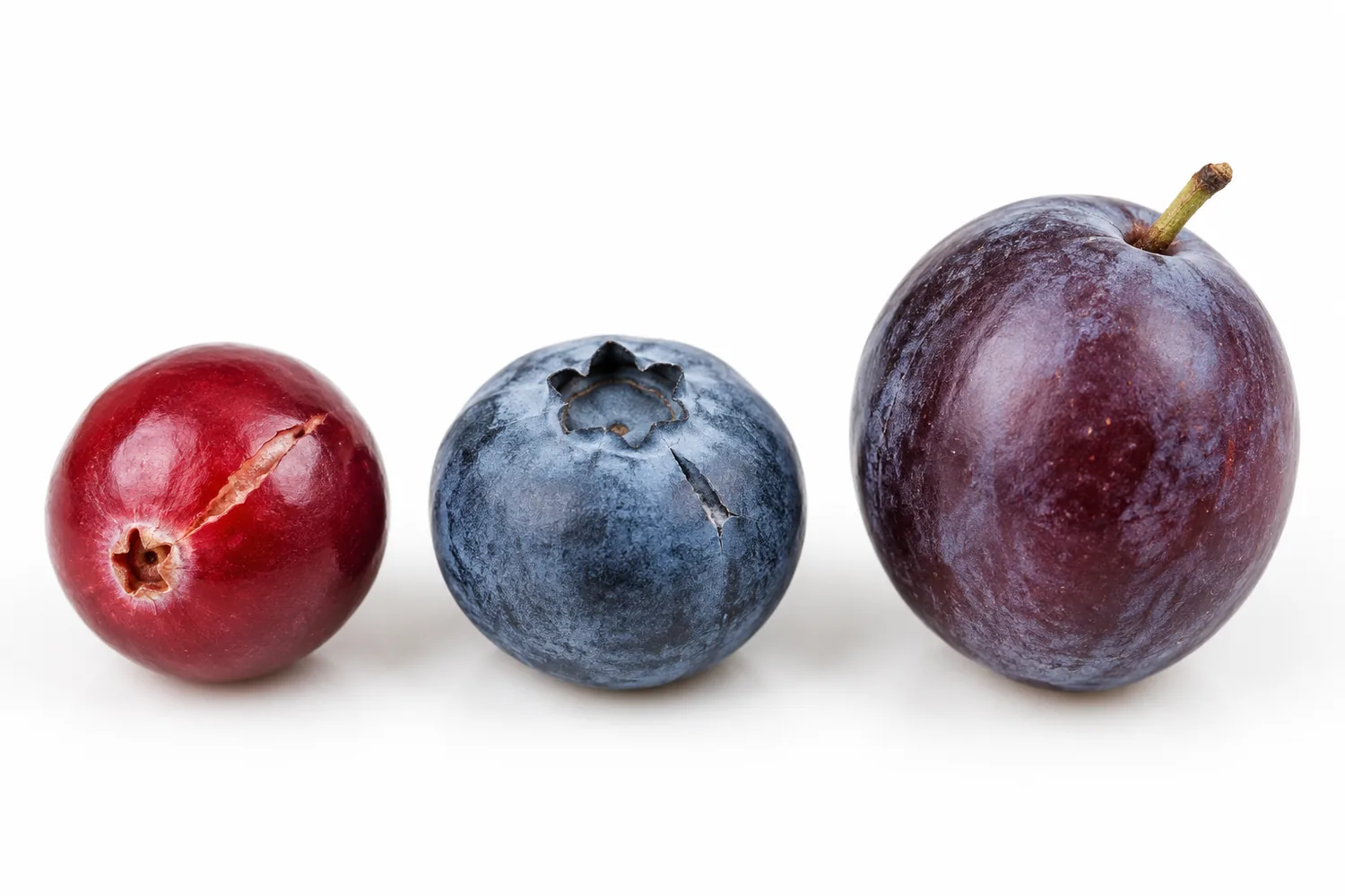 Illustrative surface comparison of a cranberry, blueberry and small plum.