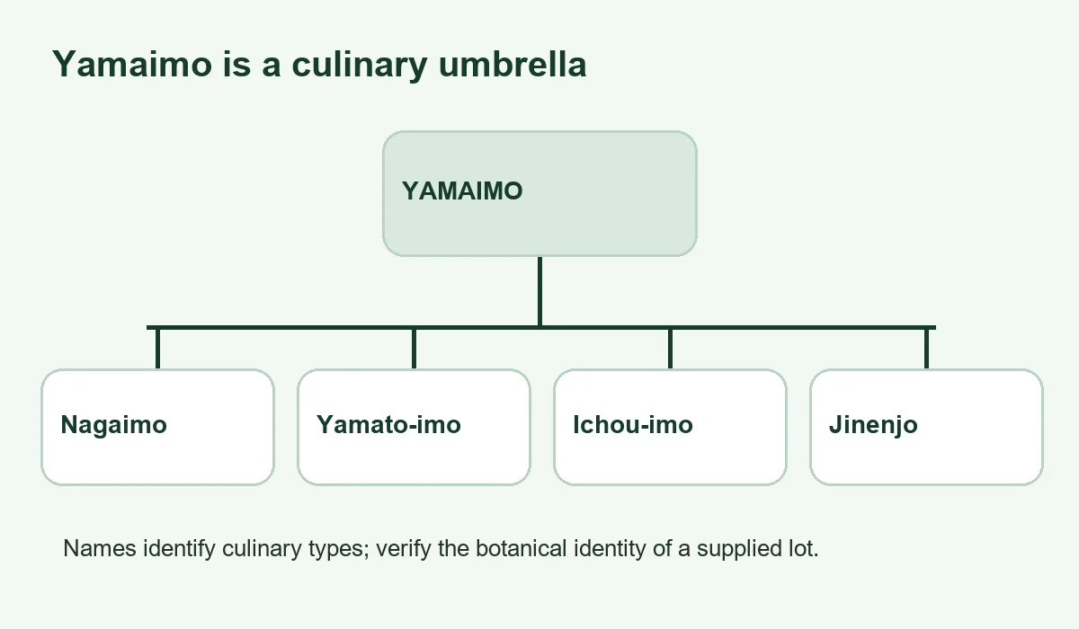 Japanese yam naming map with several culinary types