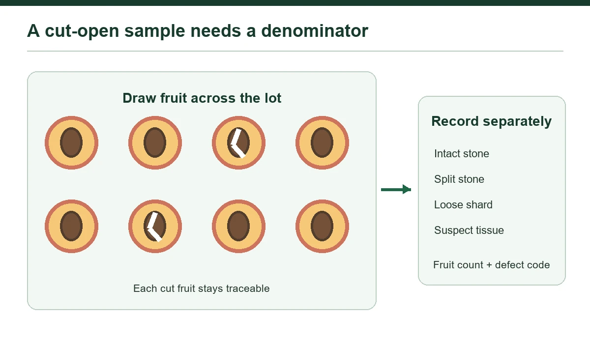 A cut-open sample needs a fruit count as well as a defect classification.