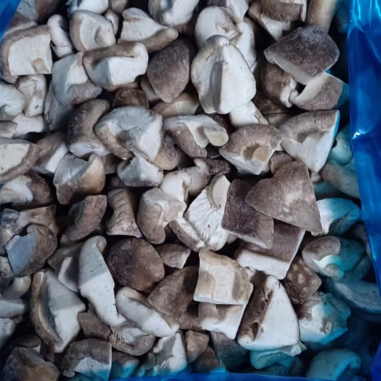 Real GreenLand photograph of IQF frozen shiitake pieces