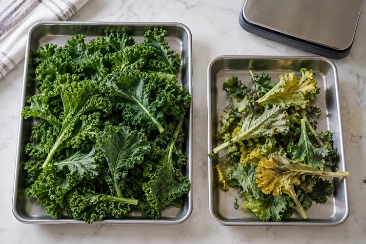 Sound green kale separated from yellowed leaves beside a scale