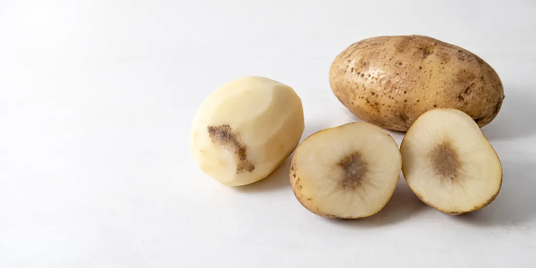 Potatoes showing dark marks in skin shallow flesh and center Whole peeled and cut potatoes with distinct dark areas