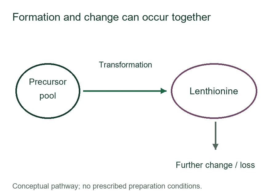 Conceptual precursor transformation to lenthionine and further change or loss