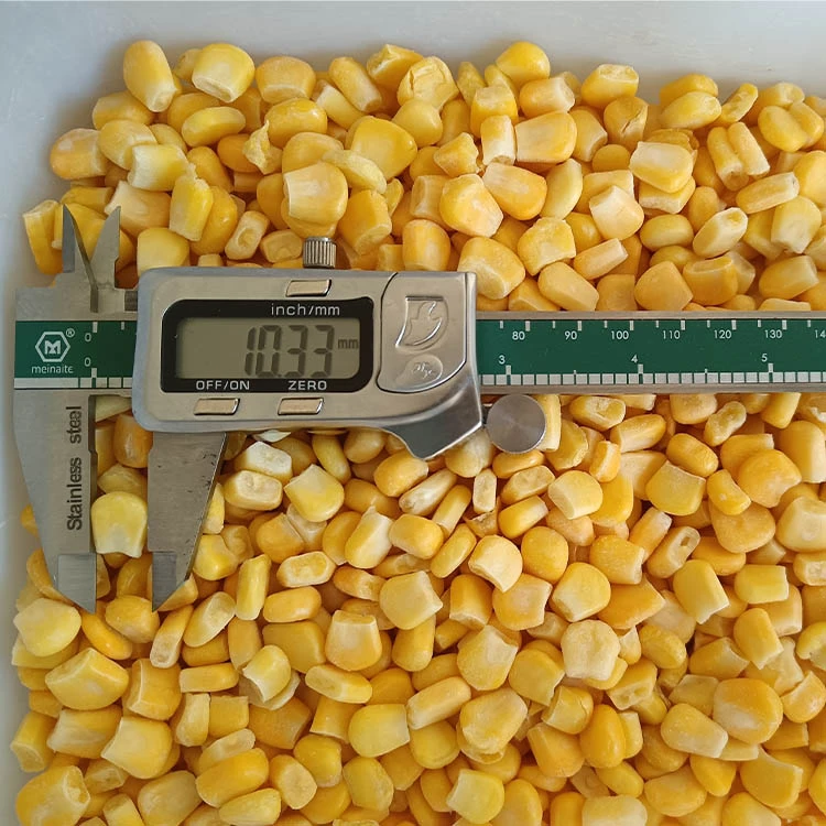 Real sweet corn kernels measured with a caliper on an inspection tray Real sweet corn kernels measured with a caliper on an inspection tray