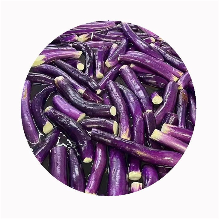 IQF Frozen Eggplant suppliers