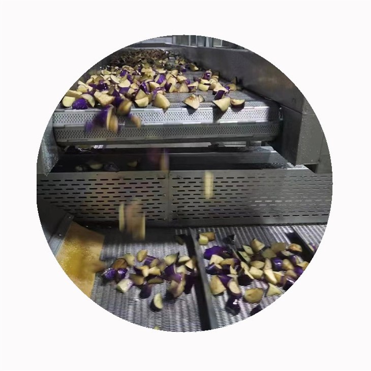 IQF Frozen Eggplant best