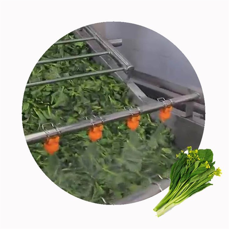 IQF Frozen Rapeseed Flowers factory