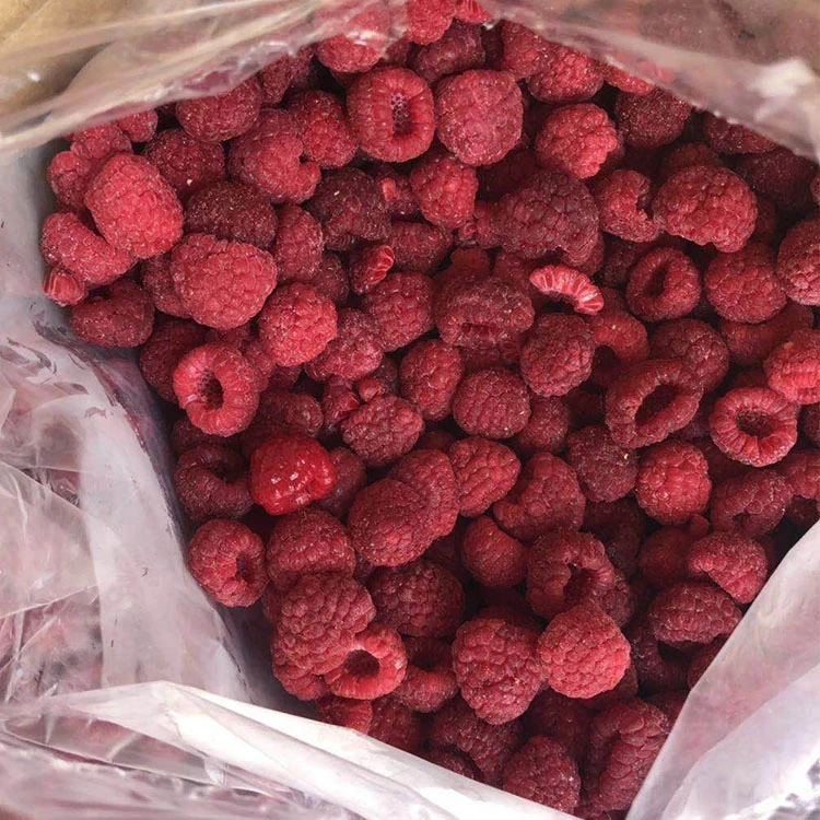 Frozen raspberries in a bulk liner Frozen raspberries in a bulk liner