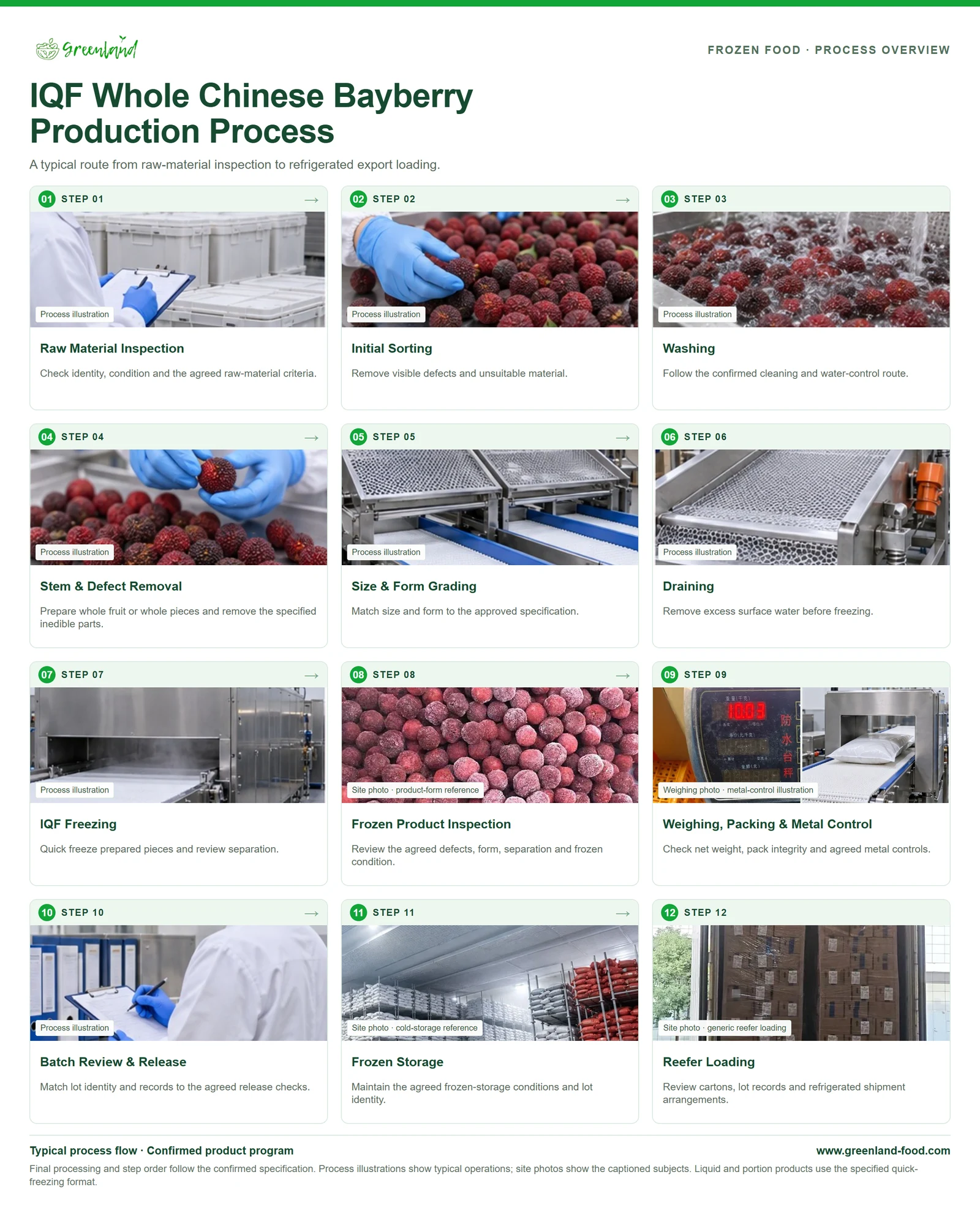 IQF Whole Chinese Bayberry Production Process IQF Whole Chinese Bayberry Production Process; twelve typical production and handling stages, with captioned site references and clearly marked process illustrations.