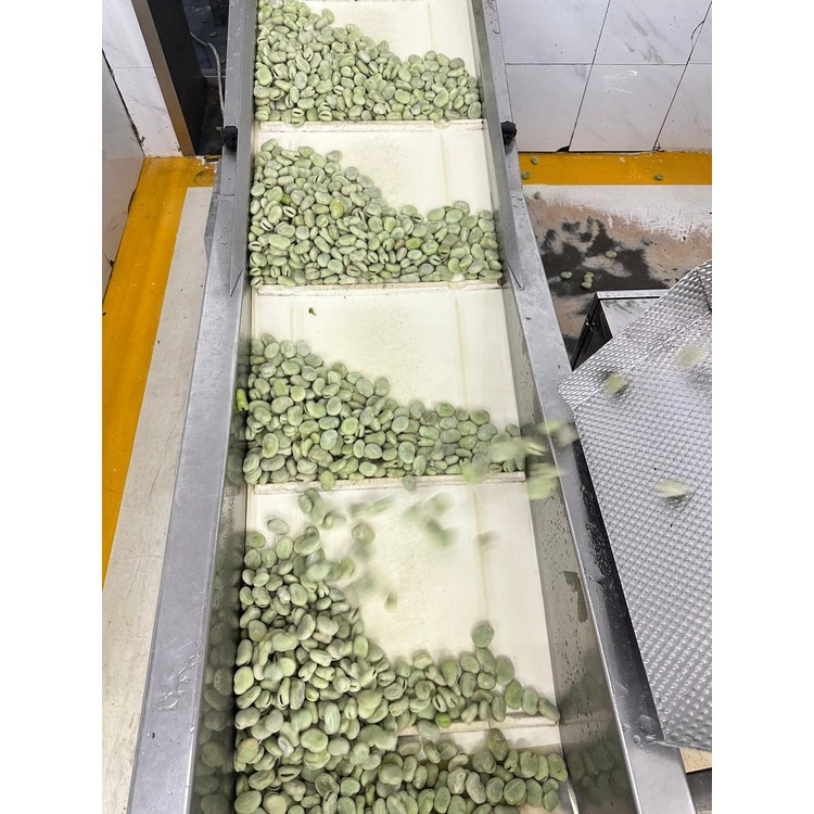Broad beans packed in transparent bags