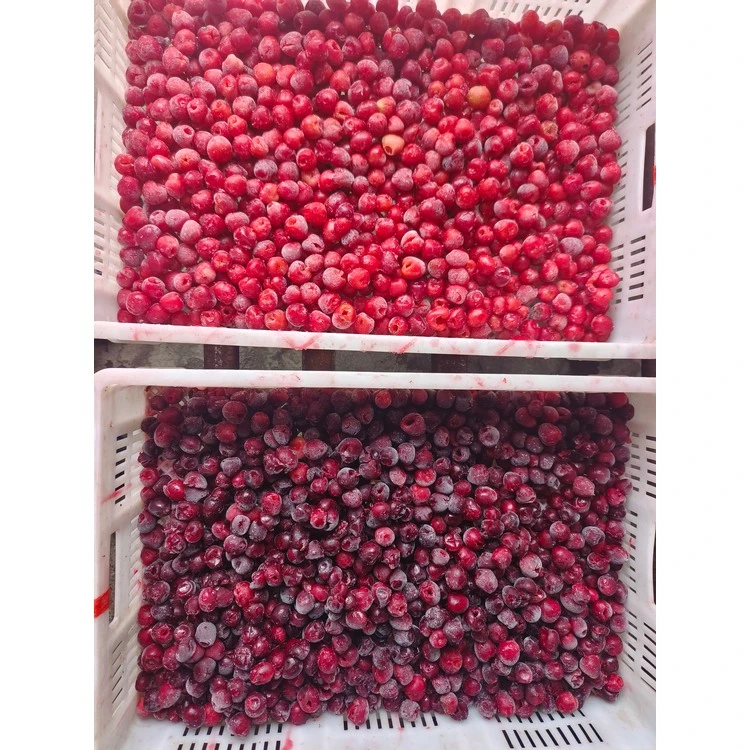 Two frozen cherry lots in crates