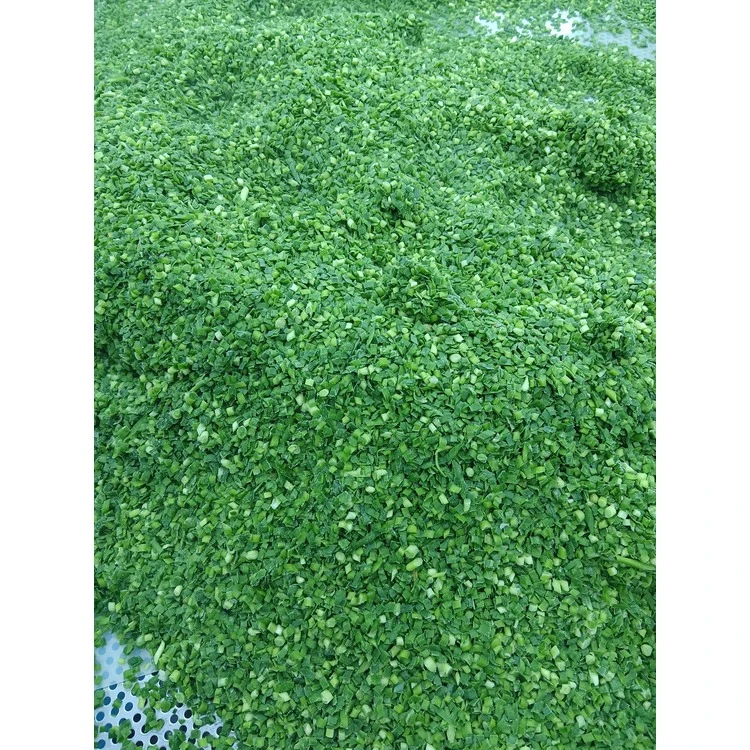 Cut Chinese chives spread for inspection