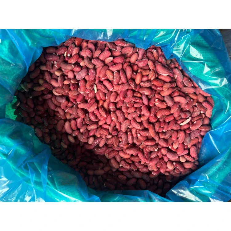 Red kidney beans in a lined carton