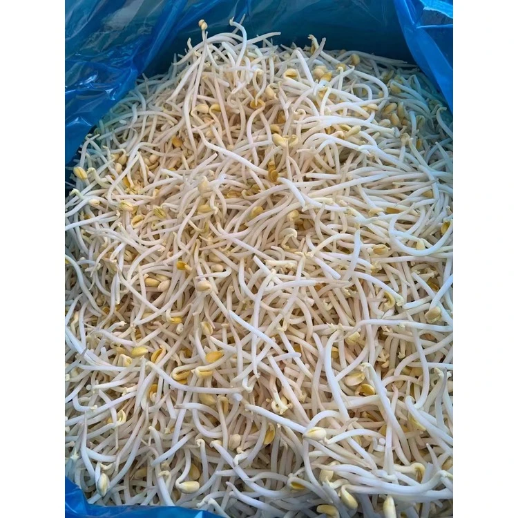 Whole yellow-headed sprouts in a product bag; soybean identity pending source-record confirmation