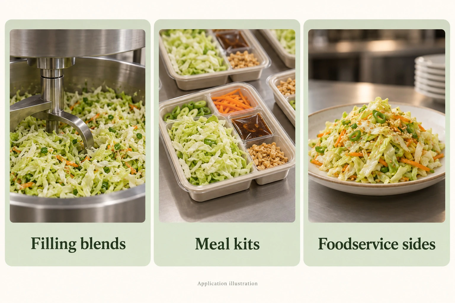 Shredded round heading cabbage in filling blends, meal kits and foodservice sides