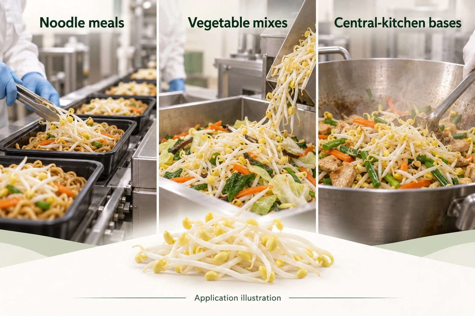 Yellow-headed sprouts in noodle meals, vegetable mixes and central-kitchen cooked bases