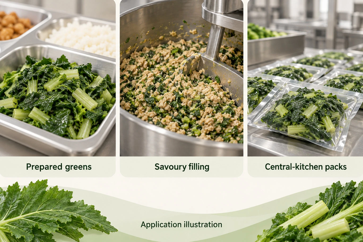 Conceptual mustard-greens applications in prepared greens, savoury filling and central-kitchen packs