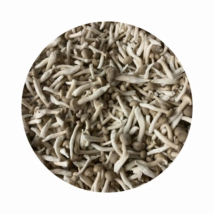 Frozen Shimeji Mushrooms
