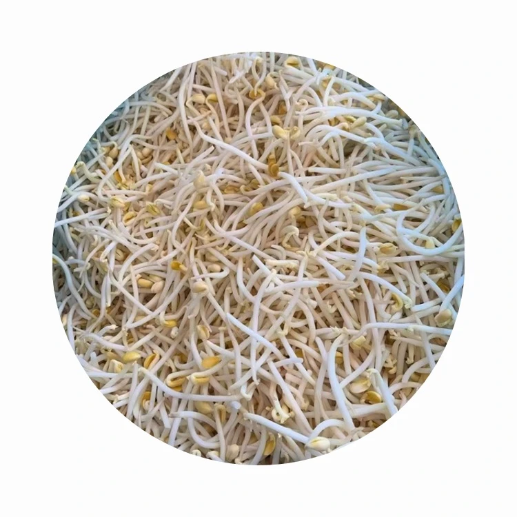 Frozen Soybean Sprouts