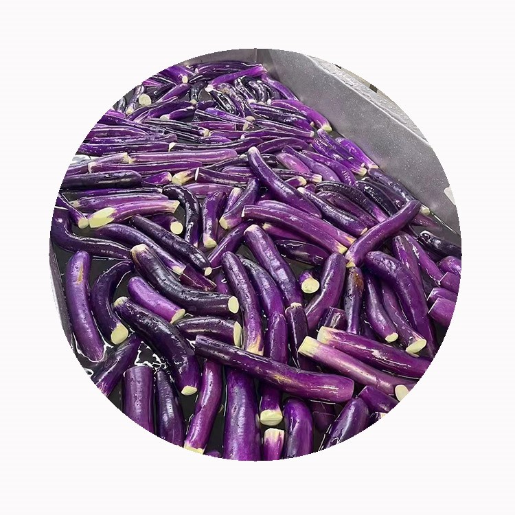 IQF frozen eggplant IQF frozen eggplant