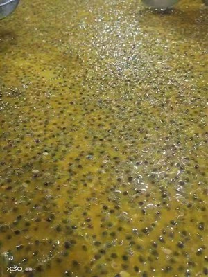 Frozen Passion Fruits Puree