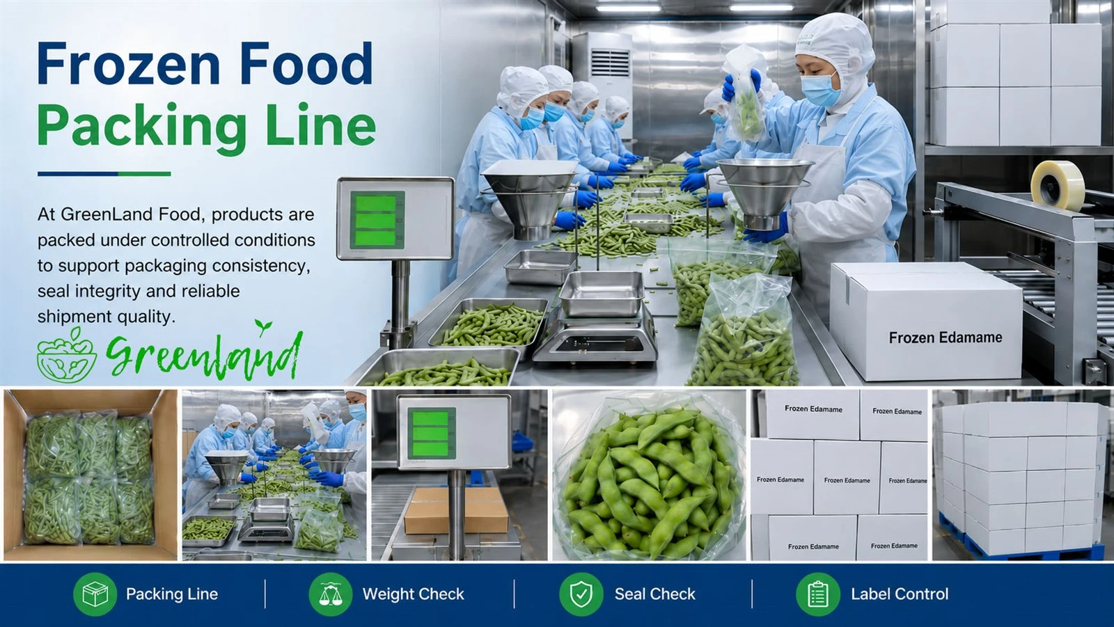 Packing-line overview with bag sealing and carton handling Packing-line overview with bag sealing and carton handling