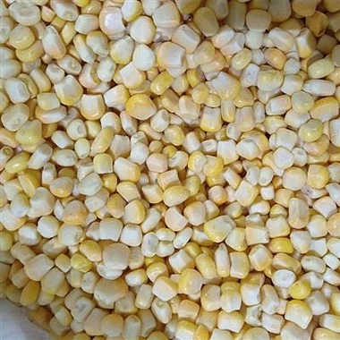 Bulk Frozen Sweet Corn