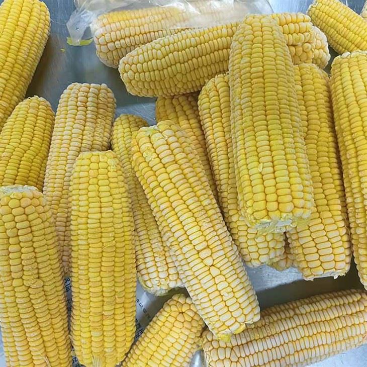 Sweet Corn On The Cob Frozen