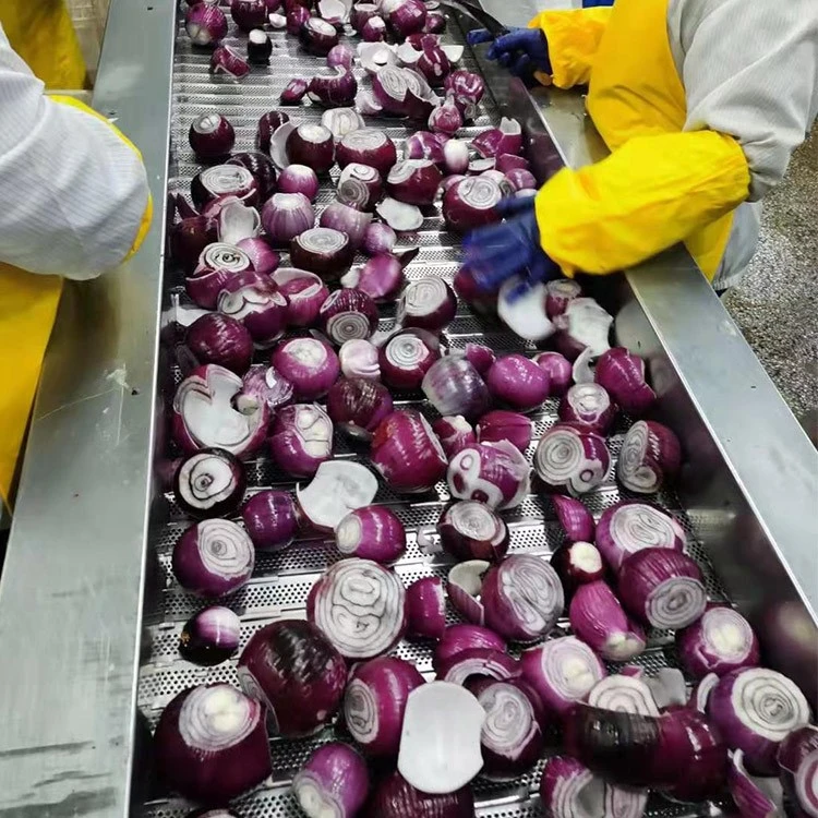 Producing onions for the food service and retail industries Producing onions for the food service and retail industries
