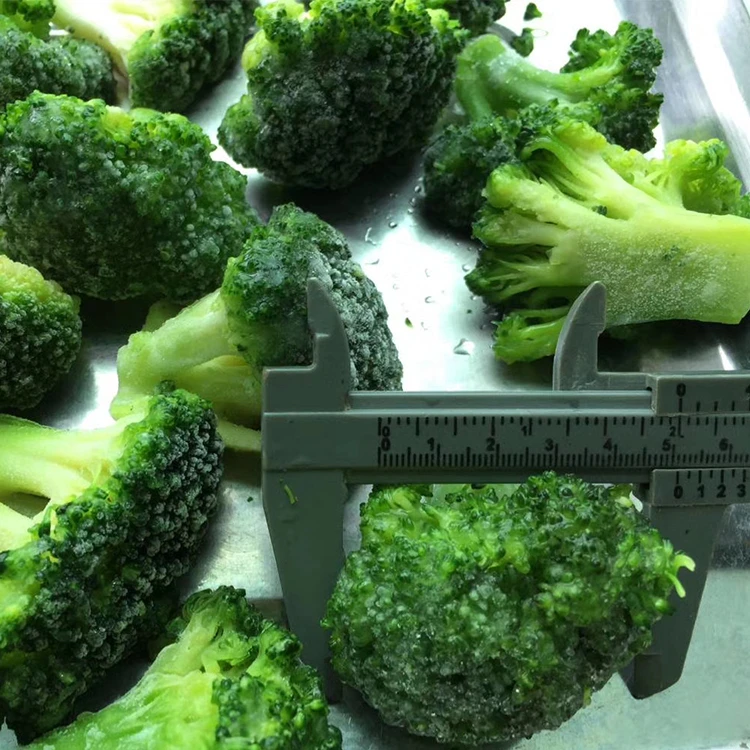 IQF Frozen Broccoli IQF Frozen Broccoli