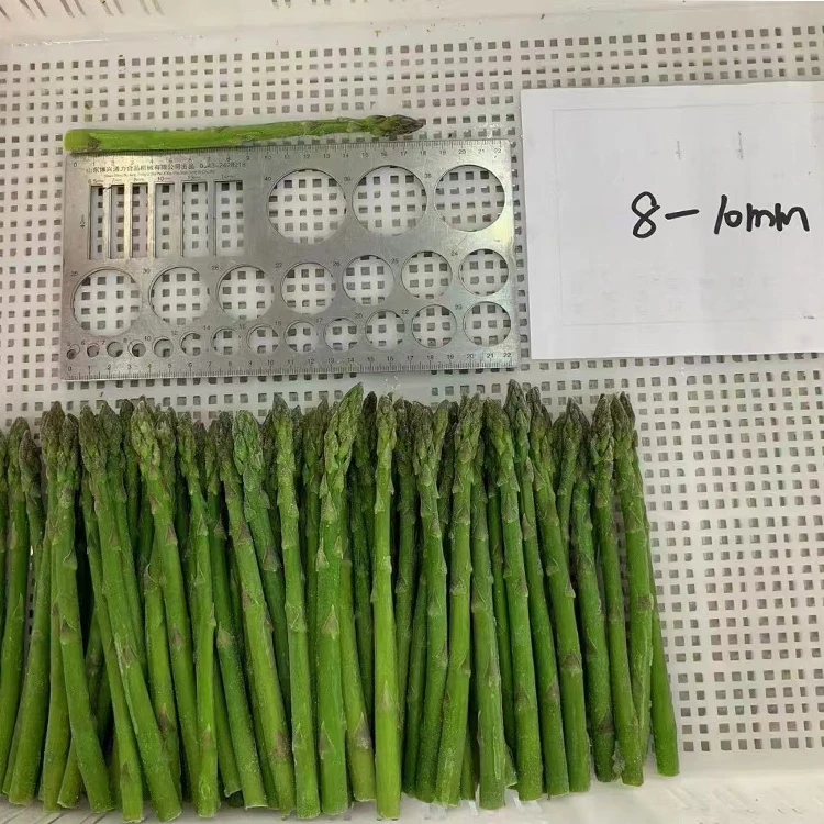 IQF Green Asparagus Spears