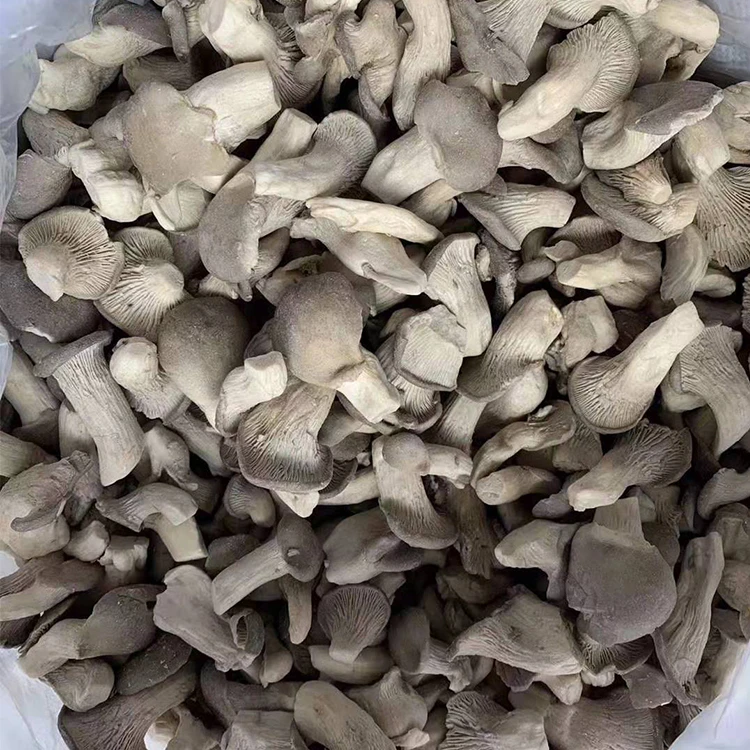 frozen grey oyster mushroom for foodservice frozen grey oyster mushroom for foodservice