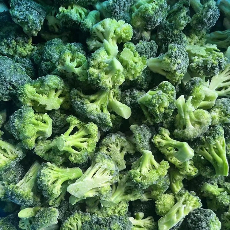 Frozen broccoli florets from the GreenLand product gallery Frozen broccoli florets from the GreenLand product gallery