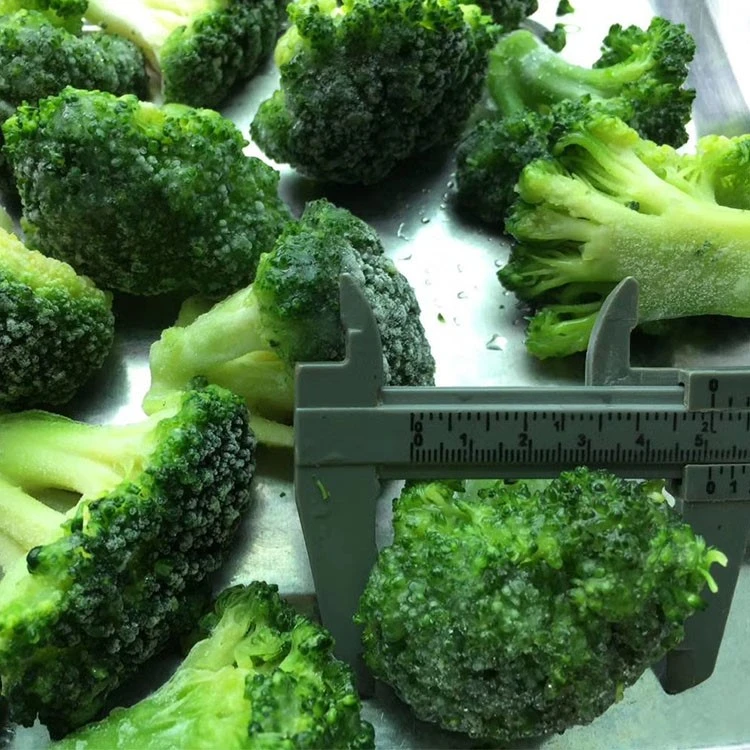 Frozen broccoli florets from the GreenLand product gallery Frozen broccoli florets from the GreenLand product gallery