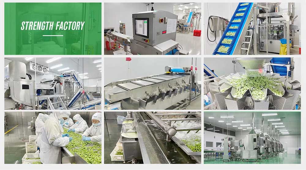 factory1000