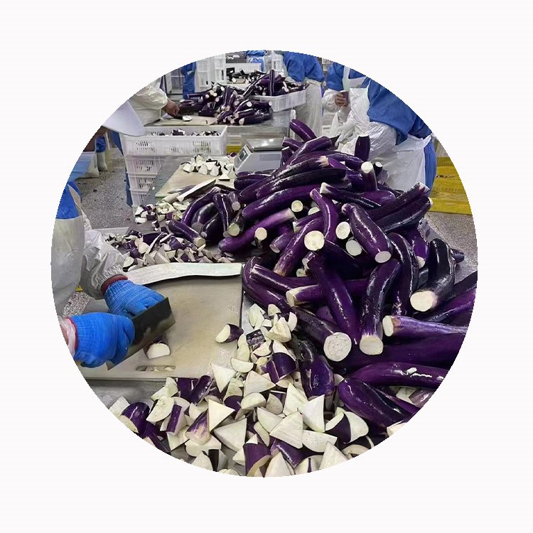 IQF Frozen Eggplant Supplier IQF Frozen Eggplant Supplier