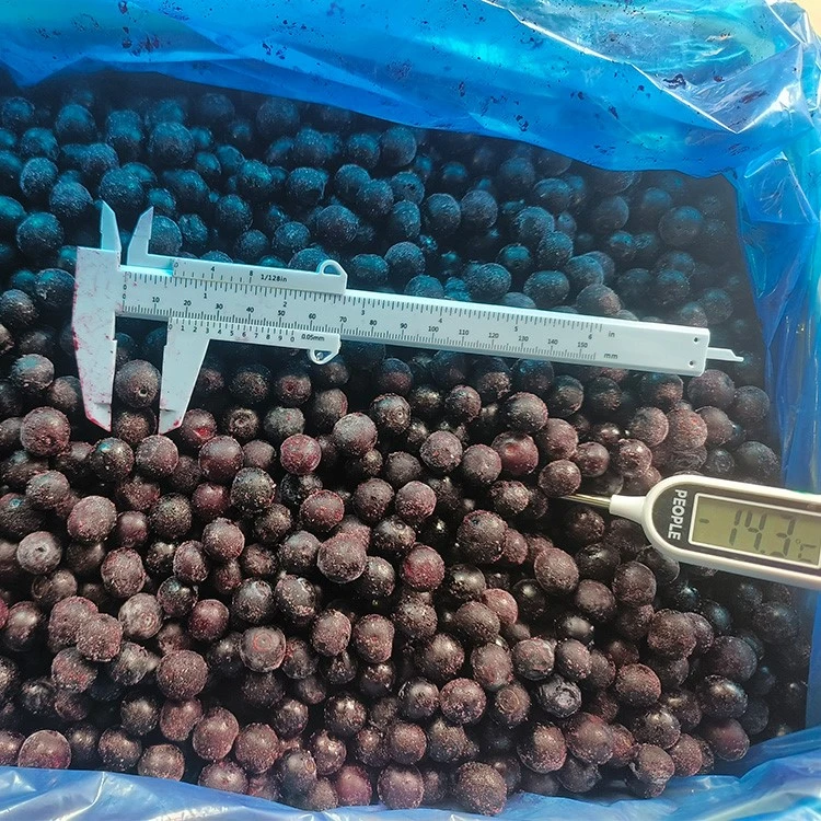 IQF frozen blueberries IQF frozen blueberries