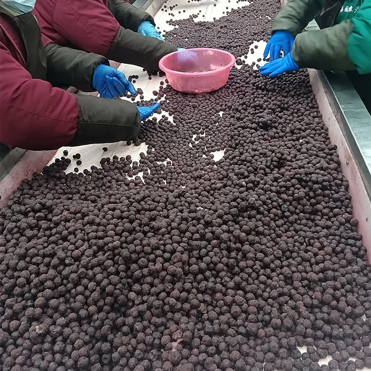frozen blueberry supply frozen blueberry supply