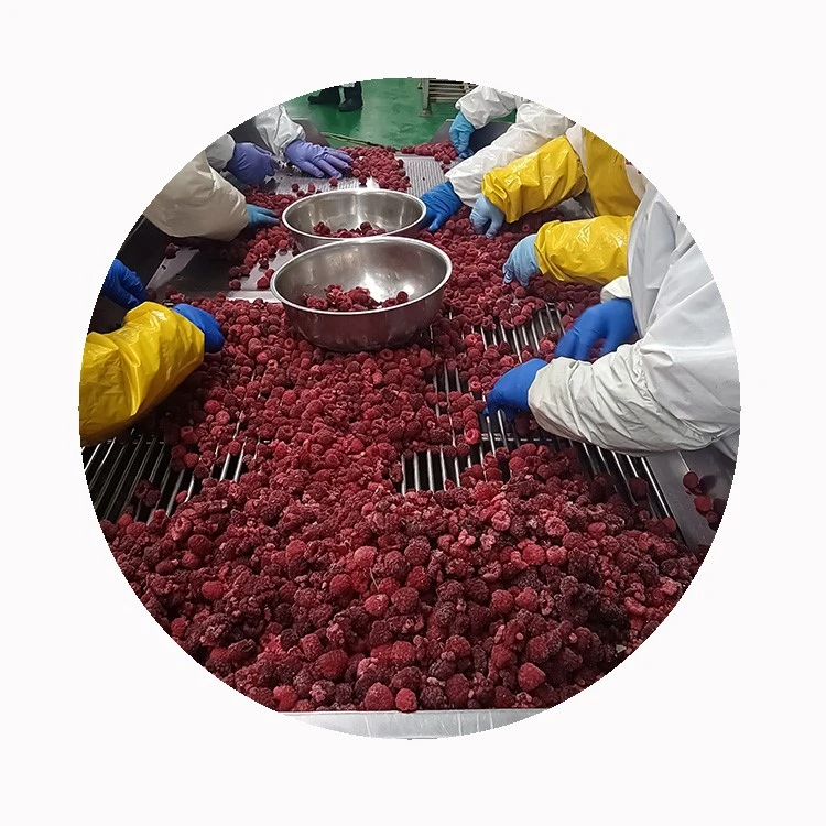 raspberry puree for bakery dairy and beverage applications raspberry puree for bakery dairy and beverage applications