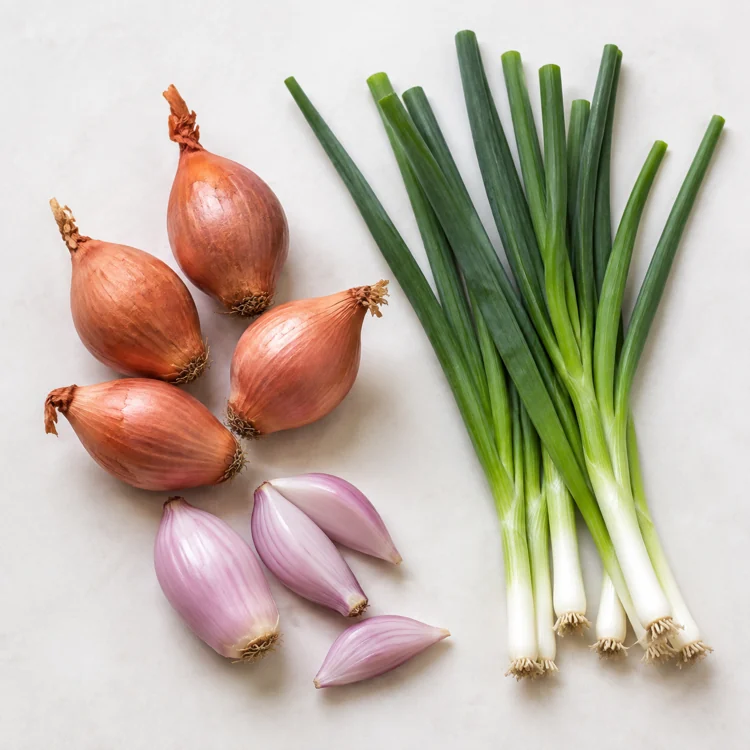 shallot-green-onion-dry-shallots-and-fresh-green-onions shallot-green-onion-dry-shallots-and-fresh-green-onions