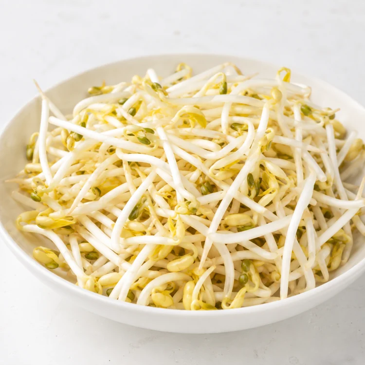 sprout-timing-mung-bean-sprouts-for-cooking sprout-timing-mung-bean-sprouts-for-cooking