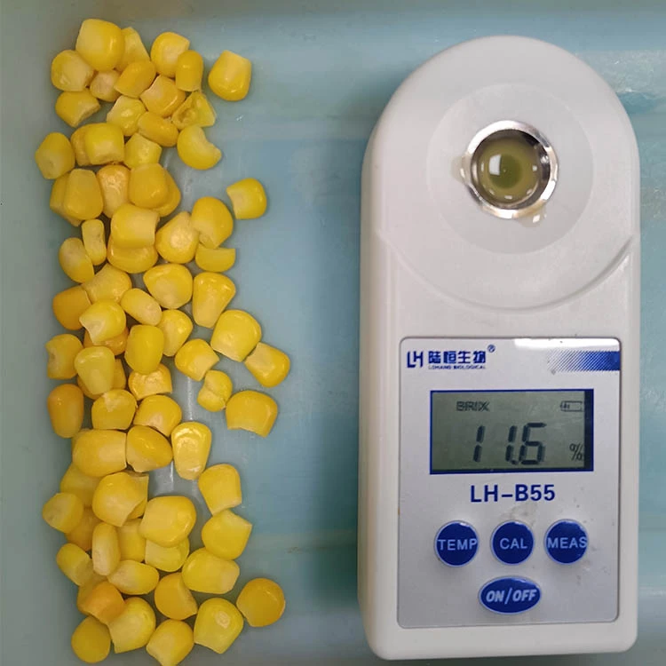 frozen corn second product view Second verified corn view for kernel grade and color review