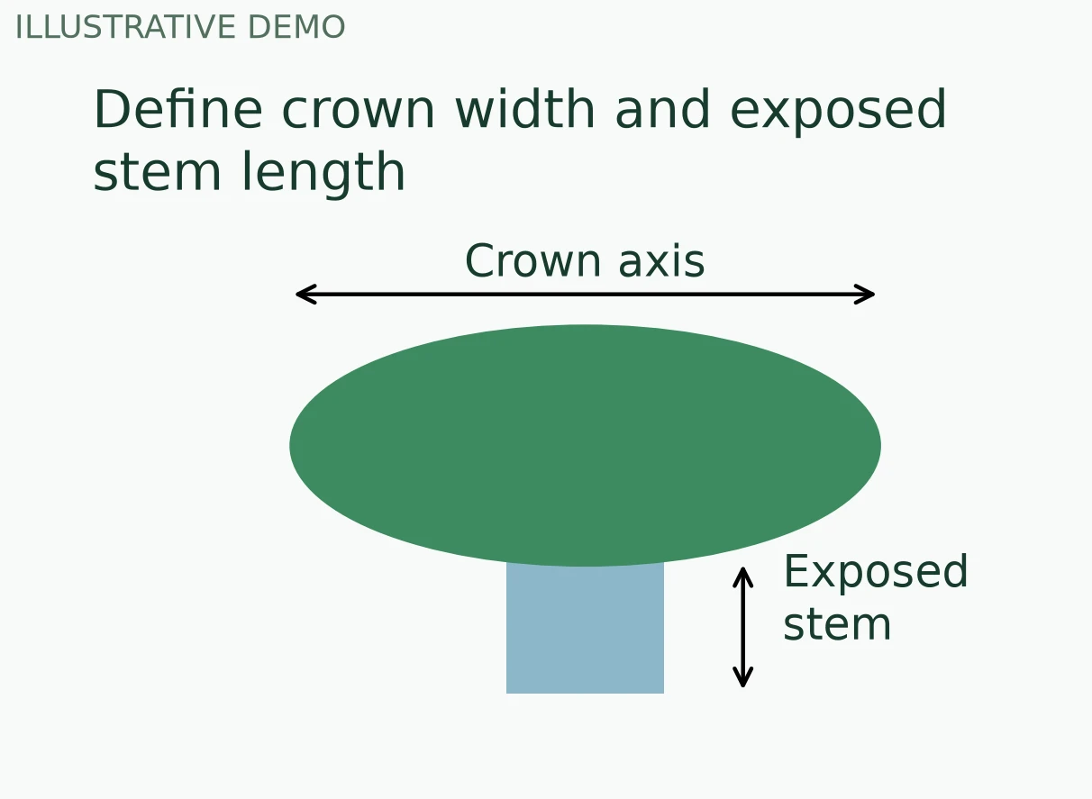 Define crown width and exposed stem length illustrative technical diagram Define crown width and exposed stem length illustrative technical diagram