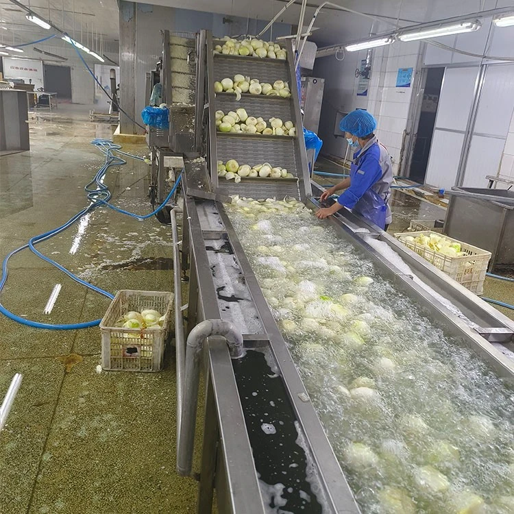 white onions supplier white onions supplier