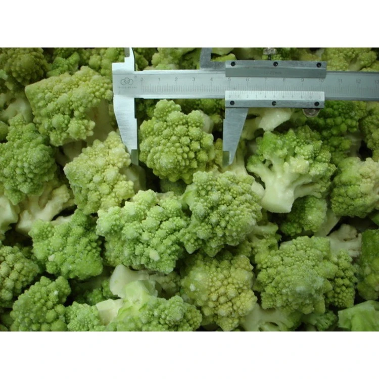 Romanesco floret size reference
